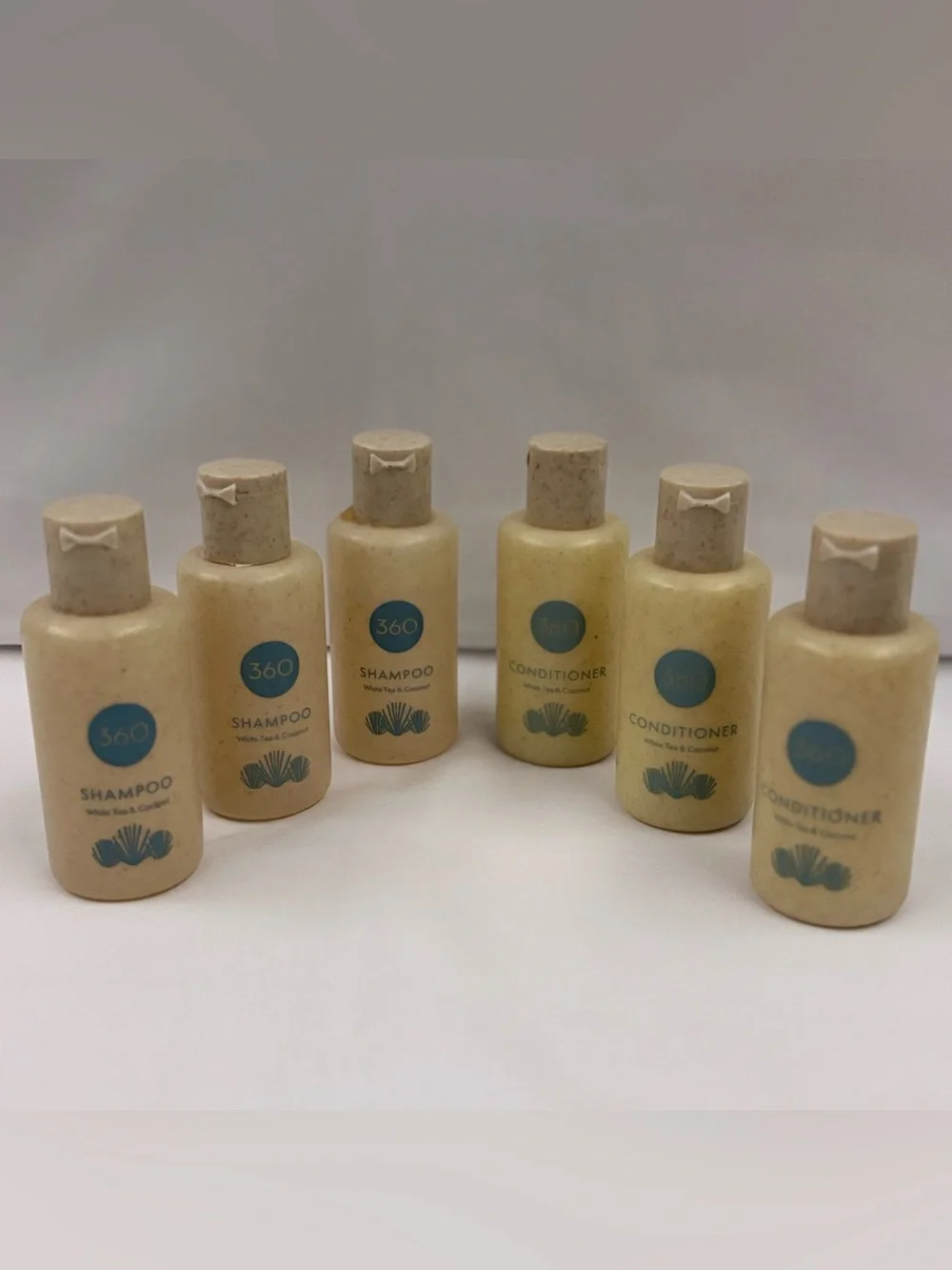 360 Luxury Guest Room Toiletries Bathroom Amenities Kit Bulk Travel Size Lot
